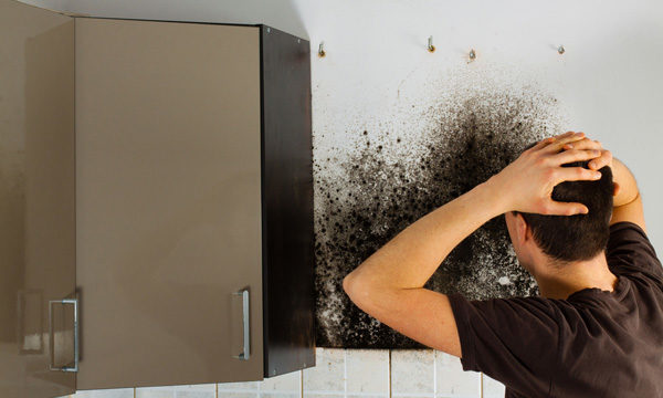 The Issue with Bad Cavity Wall Insulation
