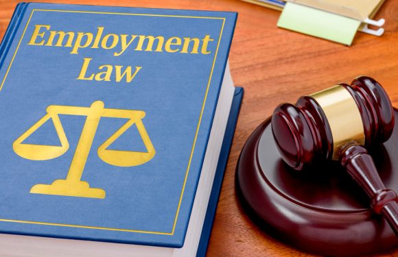 How Does the Employment Law of California Protect Employee Rights?