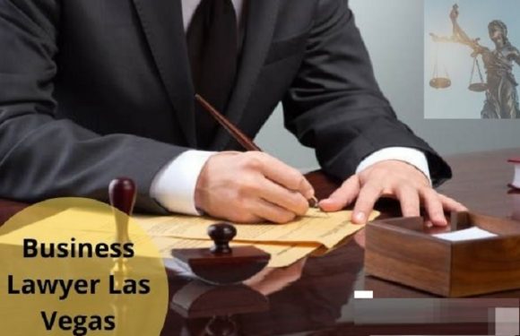 Things a business lawyer in Las Vegas can help with