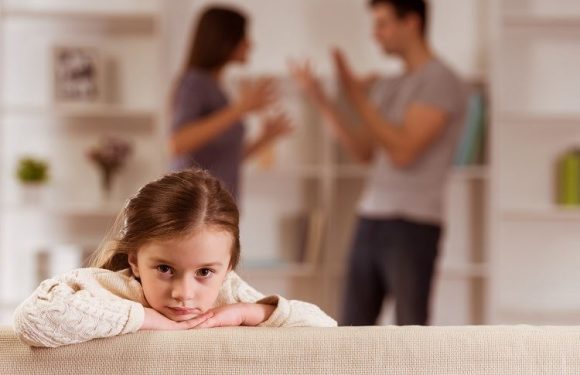 Strategy To Pick The Right Child Custody Lawyer 