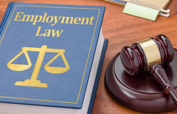 Employee Lawyer: Learn Why It Is Important To Hire One