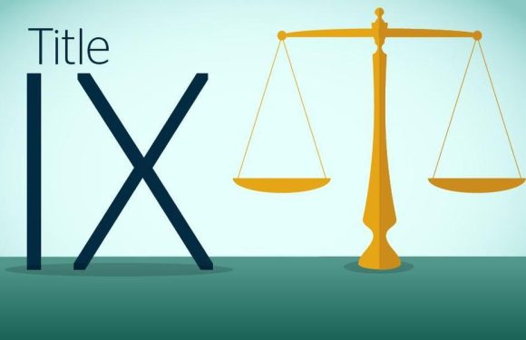 Things to Expect from a Title IX Lawyer