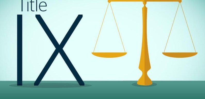 Things to Expect from a Title IX Lawyer