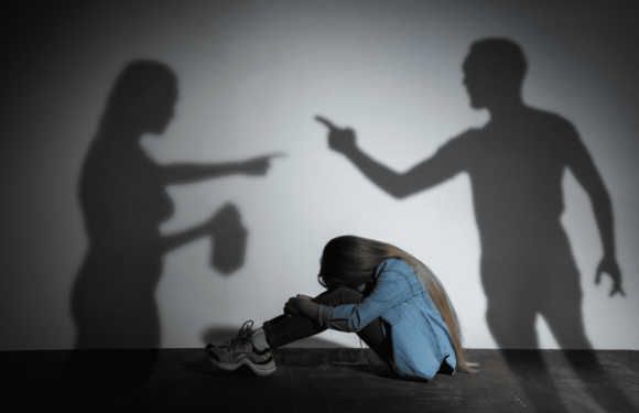 What makes a criminal defence lawyer effective in domestic violence cases?