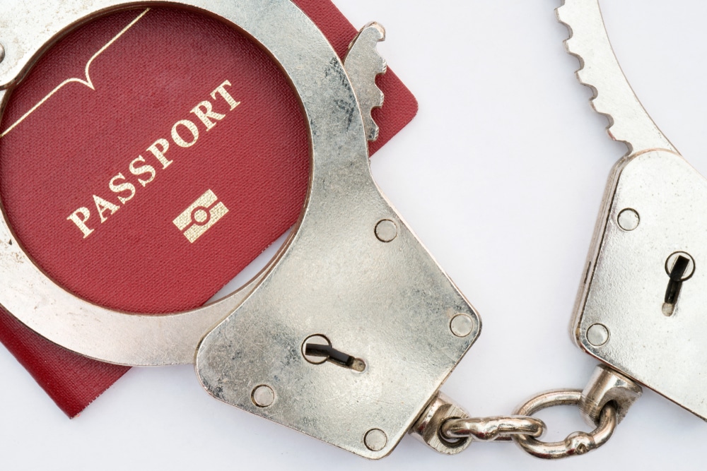 The Intersection of Criminal Law and Immigration Law